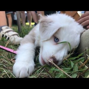 Meet your Posher, Rena marie